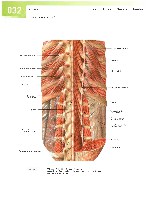 Sobotta  Atlas of Human Anatomy  Trunk, Viscera,Lower Limb Volume2 2006, page 39